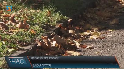 «Бабине літо» на Закарпатті прогнозують з наступної суботи