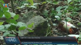 У закарпатських лісах і річках сміття не меншає