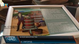 В Берегові відкрили перший на Закарпатті музей культури й історії виноробства
