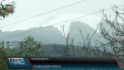 Жителі Тячівщини рятуються від холоду дровами