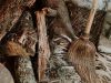 Dreams-About-Broom-Interpretation-and-Meaning-659×390