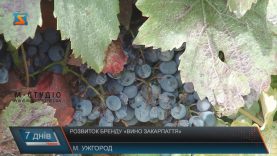 Бренд «Вино Закарпаття» експерти з Франції супроводжуватимуть до світового визнання