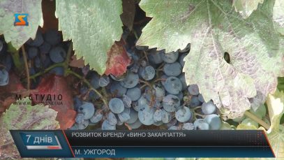 Бренд «Вино Закарпаття» експерти з Франції супроводжуватимуть до світового визнання