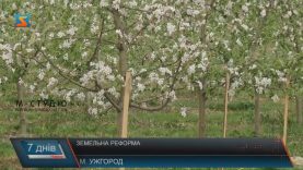 Думки закарпатців щодо земельної реформи розійшлися