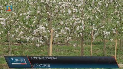 Думки закарпатців щодо земельної реформи розійшлися