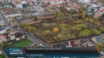 В центрі Мукачева приватизований майданчик кілька років потопає у заростях