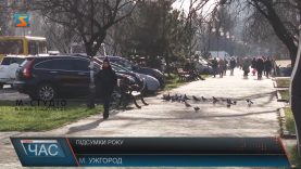 Чим запам’ятався закарпатцям 2019 рік і чого чекають від 2020?