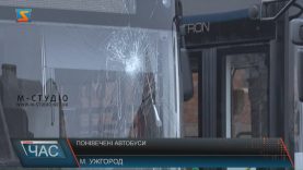 У міськраді Ужгорода вважають, що скло на комунальних автобусах розбили конкуренти
