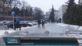 Закарпатцям, котрі постраждали через ожеледицю, радять вимагати відшкодування