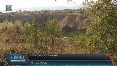 Майбутнє Солотвина обговорили на міжнародній конференції