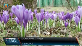 Бережіть красу природи!