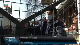 Карантинні заходи