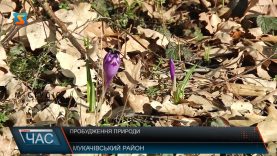 Пробудження природи