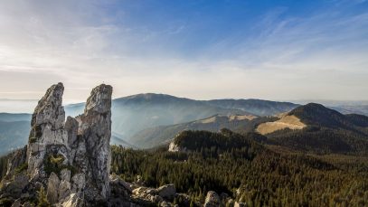 Дизайн без названия (35)