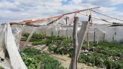 94880519_2464817680497893_2551972634166296576_n