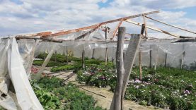 94880519_2464817680497893_2551972634166296576_n