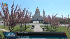 Квітуче місто