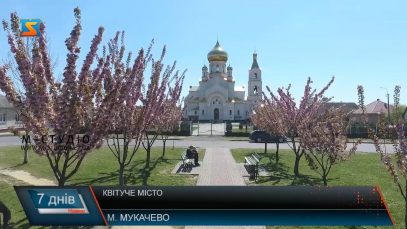 Квітуче місто