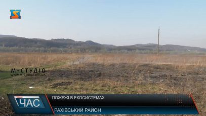 Пожежі в екосистемах