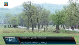 Проблеми у «Долині нарцисів»