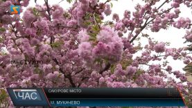 Сакурове місто