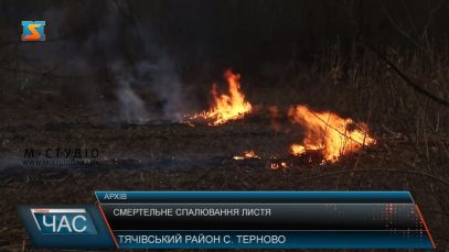 Смертельне спалювання листя