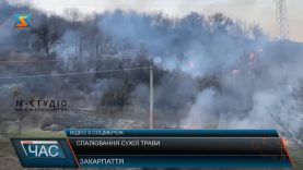 Спалювання сухої трави