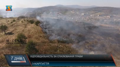 Відповідальність за спалювання трави