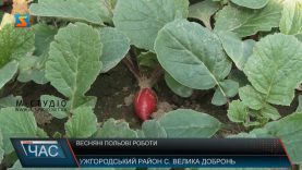 Весняно – польові роботи