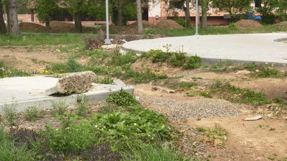 555