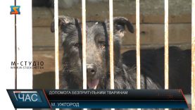 Допомога безпритульним тваринам