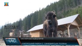 Еко-парк без відвідувачів