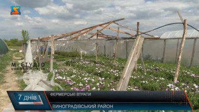 Фермерські втрати