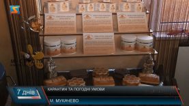 Карантин та погодні умови