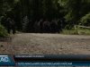 Оленівський перевал