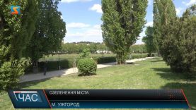 Озеленення міста