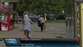 Потреба у транспорті