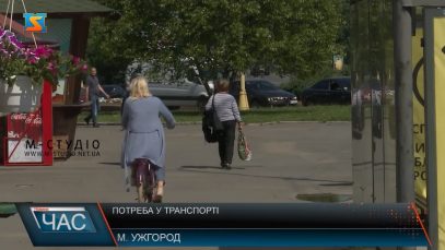 Потреба у транспорті