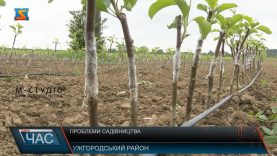 Проблеми садівництва