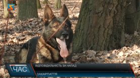 Відповідальність за напад