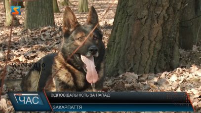 Відповідальність за напад