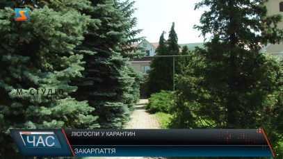 Лісгоспи у карантин