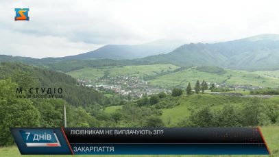 Лісівникам не виплачують ЗП?