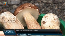 Секрети досвідчених грибарів