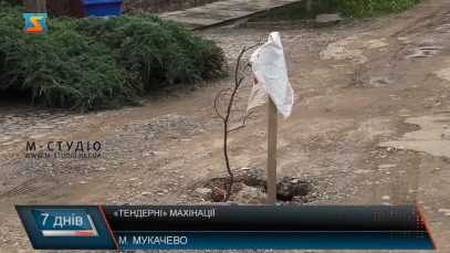 “Тендерні” махінації