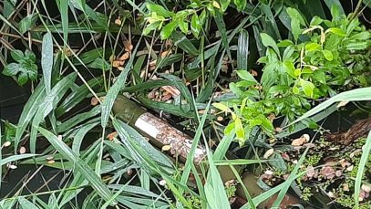 105eb5e2-83ad-4275-a256-4d015d027c00