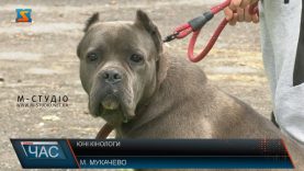 Юні кінологи