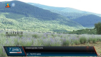 Лавандова гора