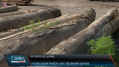 Ліс ніхто не цупив