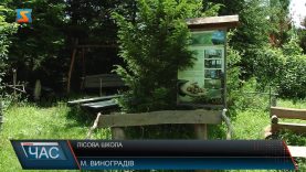 Лісова школа